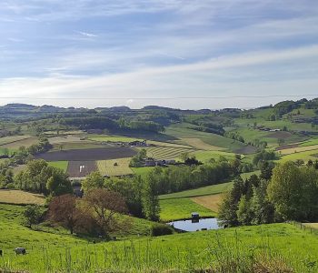 marche-decouverte-monts-lyonnais-beaujolais