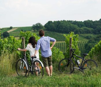 randonnée vélo au milieu des vignes du Beaujolais lors des vacances près de Lyon